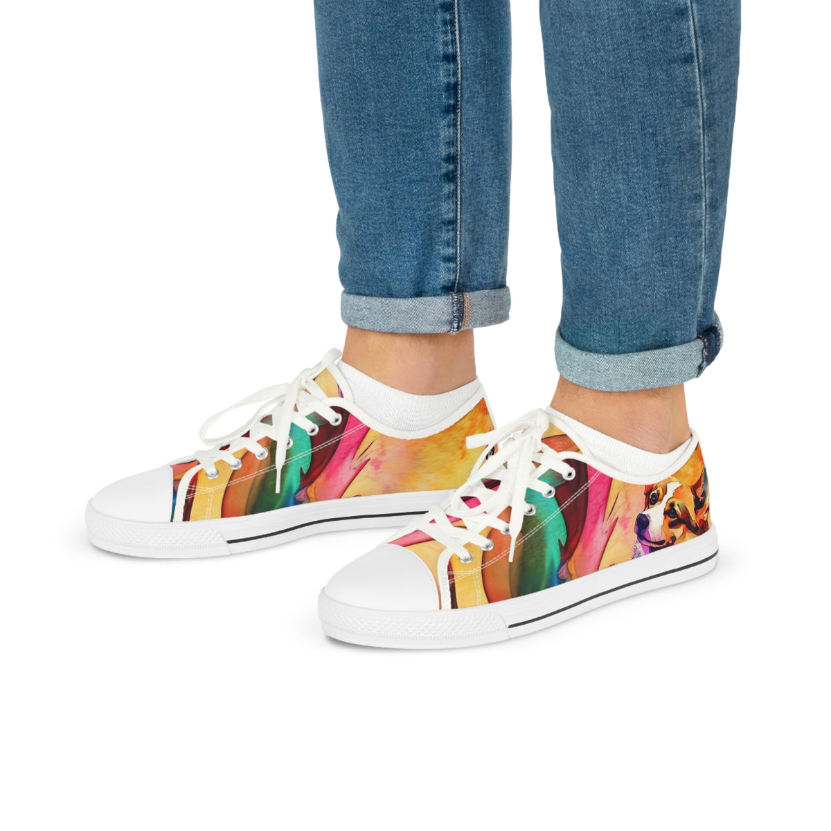 Motley Corgi Men's Low Top Casual Watercolor Canvas Sneakers