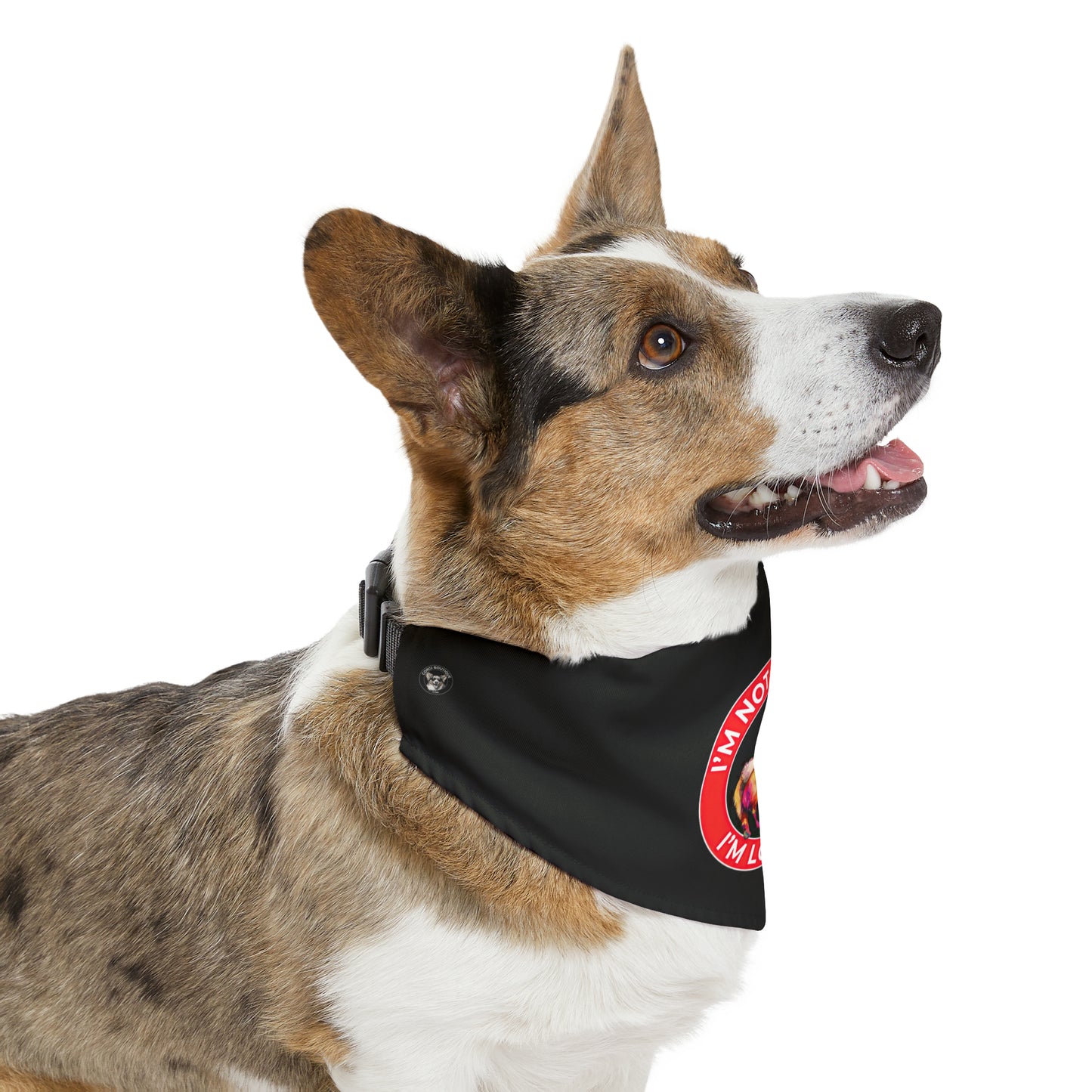 Lowrider - Bandana Collar