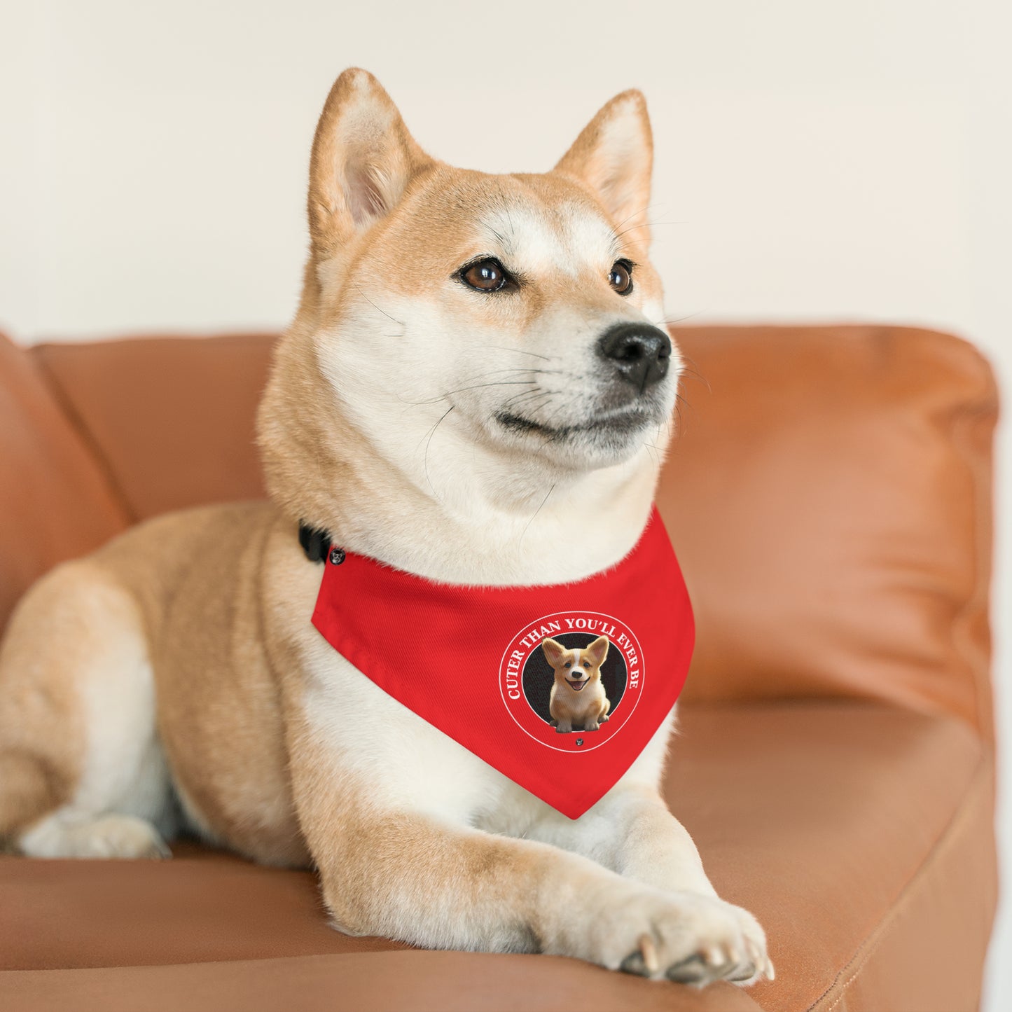 Cuter Than You - Bandana Collar