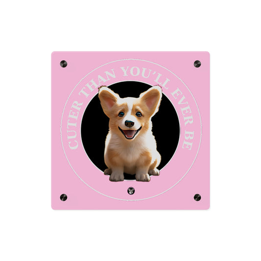 Cuter Than You on Acrylic
