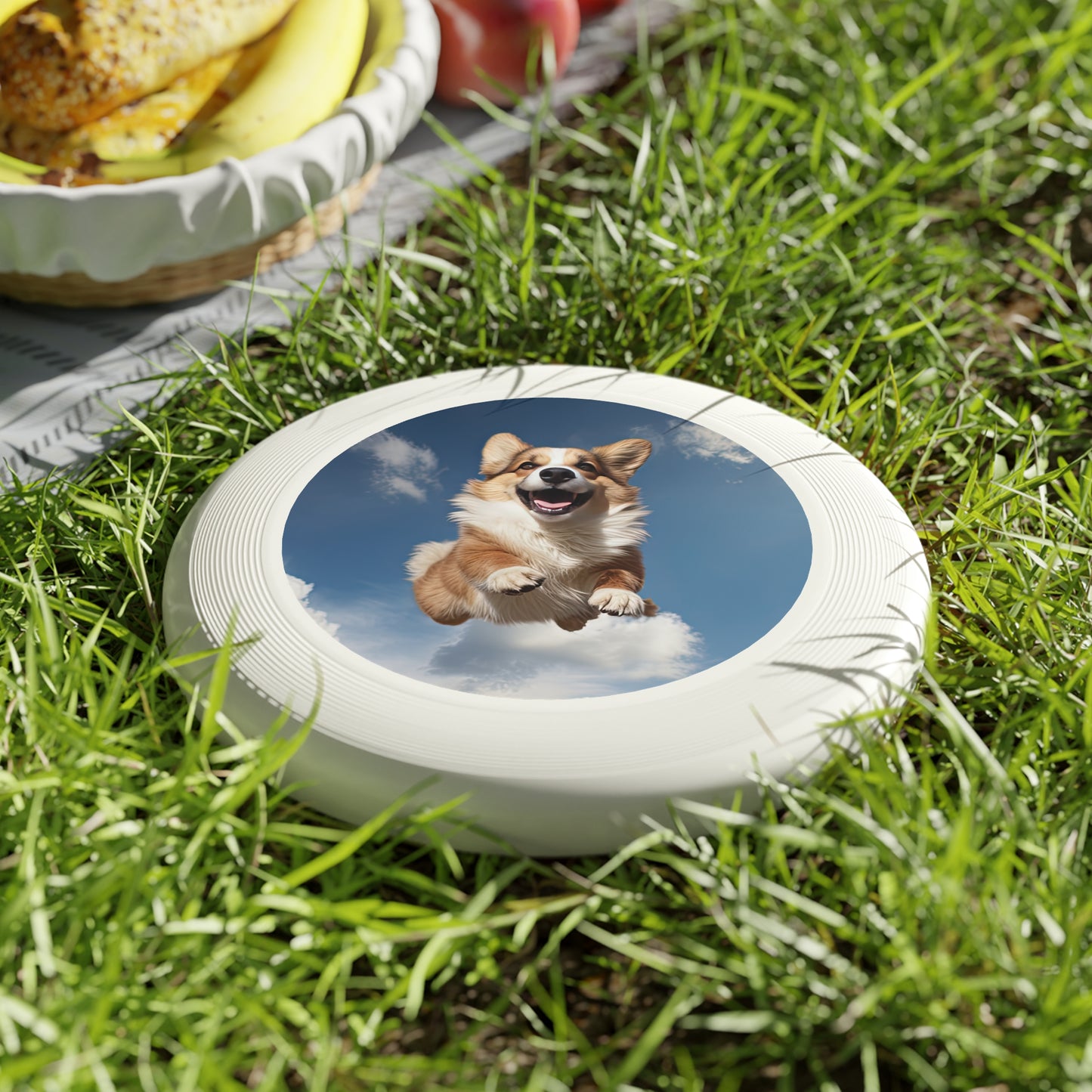 Flying Corgi - Wham-O Frisbee
