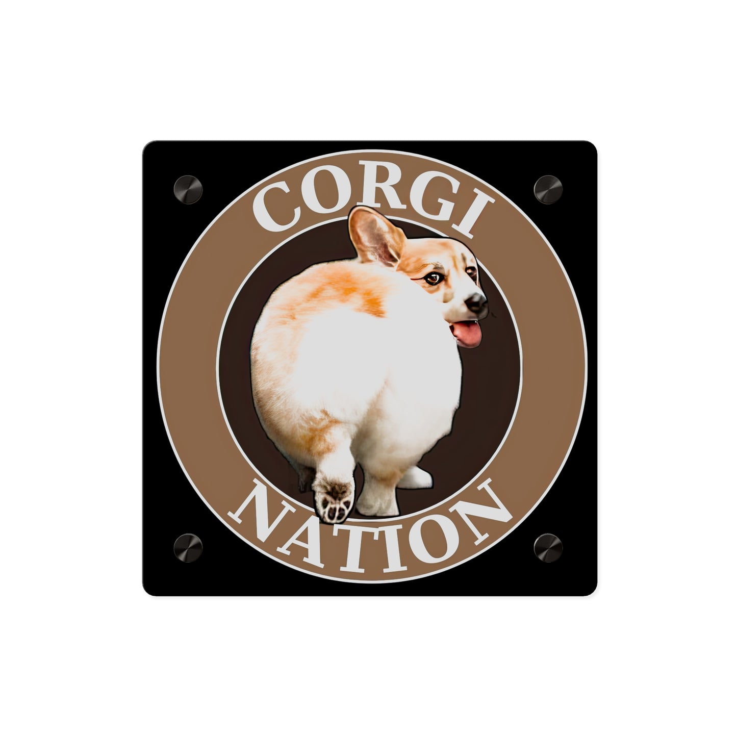 Corgi Nation on Acrylic