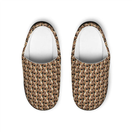 Sweetness Men's Slippers